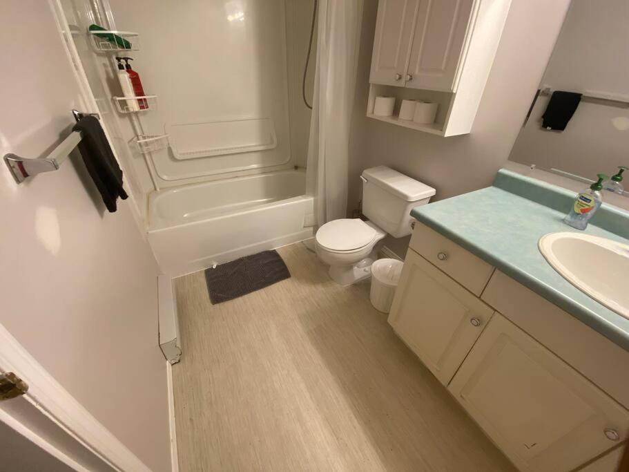 Artistic Apartment Near Downtown Victoria Esterno foto
