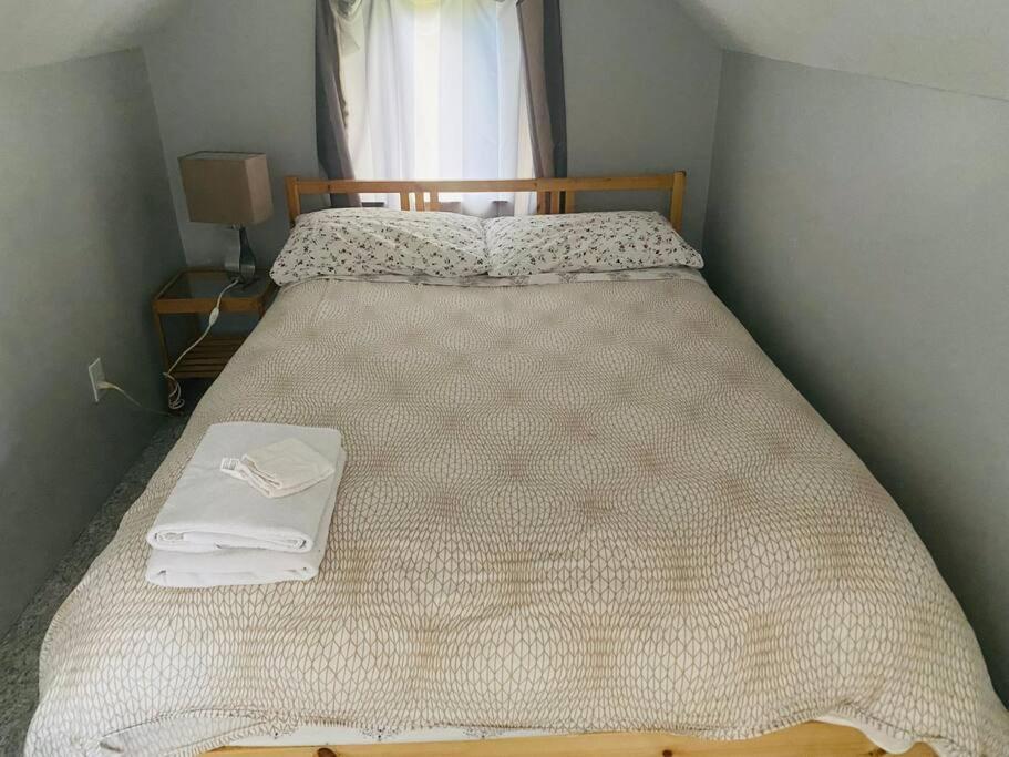 Artistic Apartment Near Downtown Victoria Esterno foto