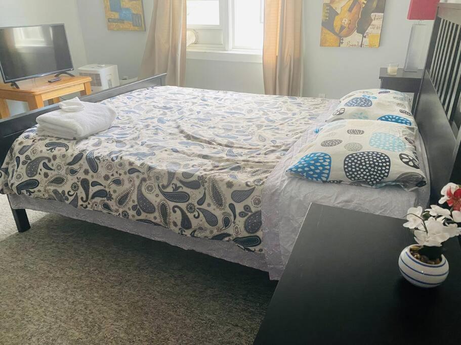 Artistic Apartment Near Downtown Victoria Esterno foto