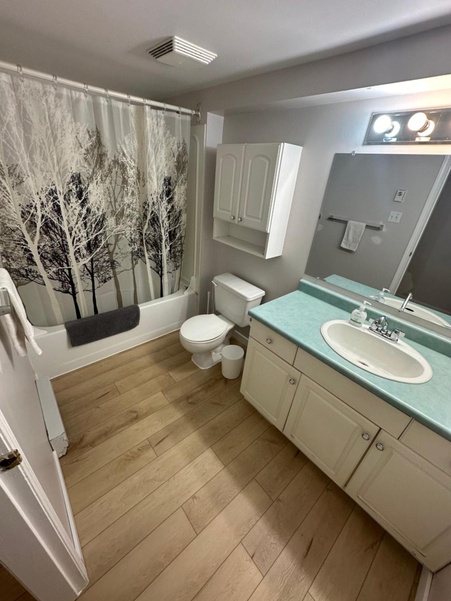 Artistic Apartment Near Downtown Victoria Esterno foto